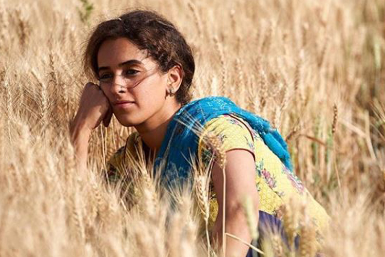 Pataakha Box Office Collection Day 2 Pataakha Box Office Collection Day 2- India TV Hindi