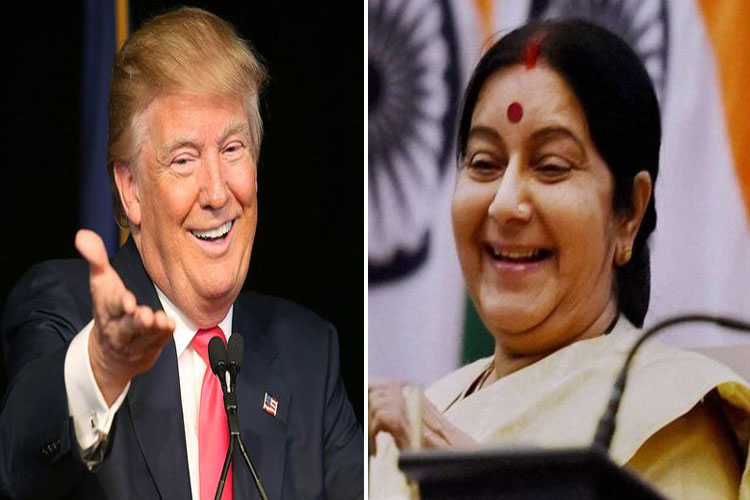 donald trump and sushma swaraj donald trump and sushma swaraj- India TV Hindi