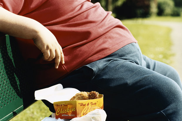 Obesity Obesity- India TV Hindi