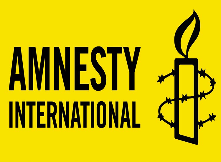 Amnesty India condemns ED raids, accuses govt of 'trying to instill fear' Amnesty India condemns ED raids, accuses govt of 'trying to instill fear'- India TV Hindi