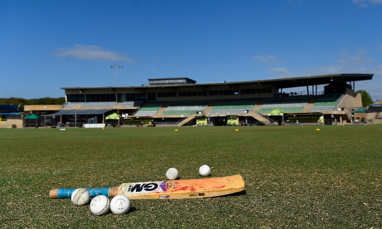 Cricket Bat and Ball Cricket Bat and Ball- India TV Hindi