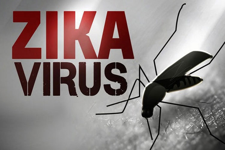 Zika Virus Zika Virus- India TV Hindi