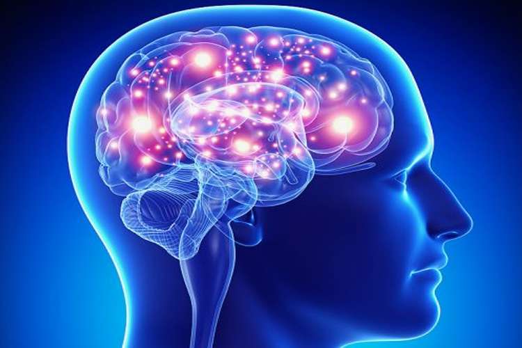 Epilepsy in Hindi Epilepsy in Hindi - India TV Hindi