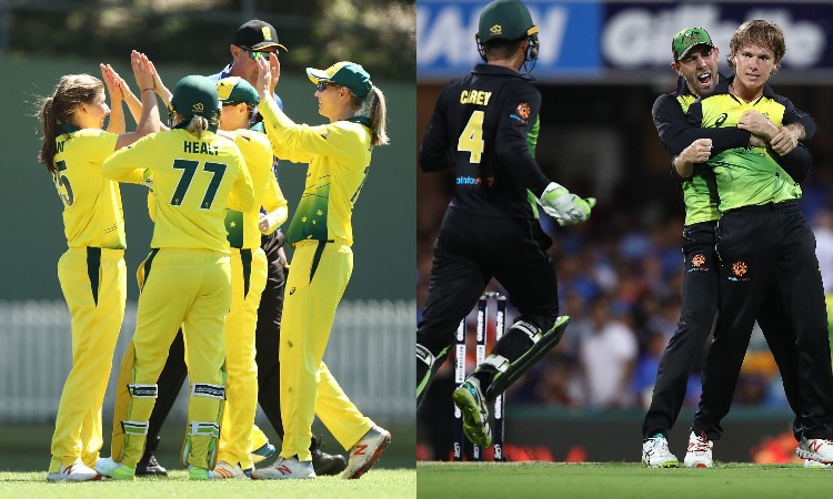 Australia Women's and Men's cricket team Australia Women's and Men's cricket team- India TV Hindi