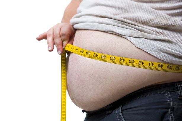 Obesity Obesity- India TV Hindi