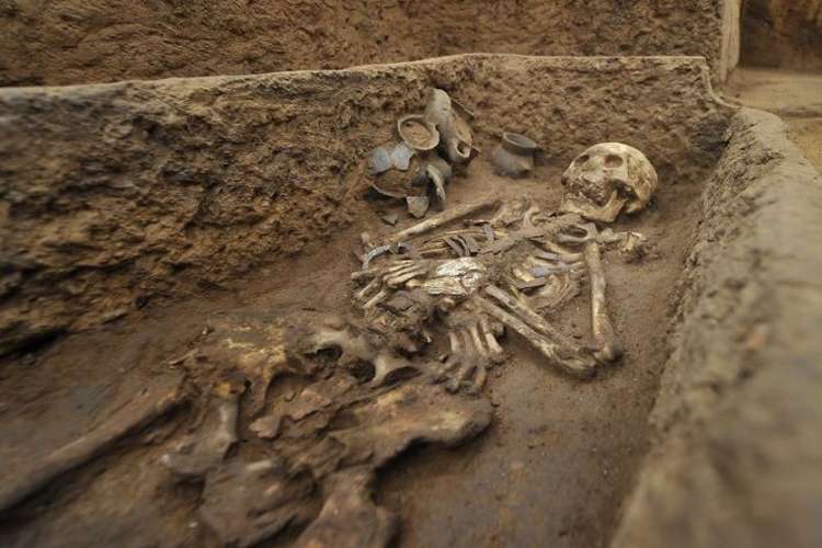 Huge quantity of human skeletal remains found at Bihar railway station Huge quantity of human skeletal remains found at Bihar railway station- India TV Hindi