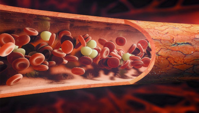 thalassemia thalassemia - India TV Hindi