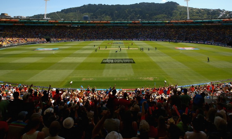 Cricket Stadium Cricket Stadium- India TV Hindi