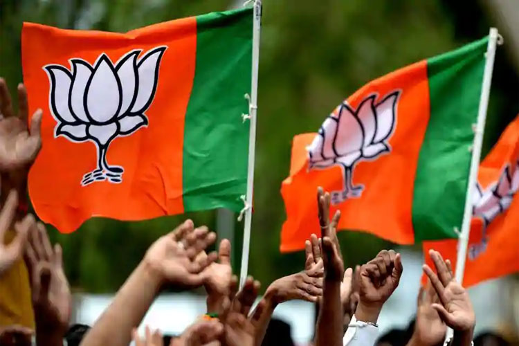BJP appoints incharge for 17 states on Wednesday BJP appoints incharge for 17 states on Wednesday- India TV Hindi