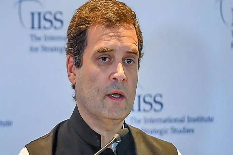 Rahul Gandhi on Sajjan Kumar Verdict Rahul Gandhi on Sajjan Kumar Verdict- India TV Hindi