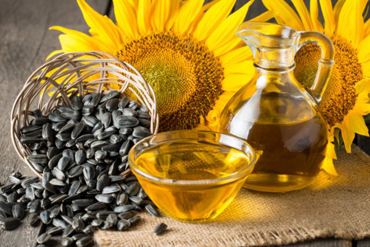 Health benefits of Sunflower oil Health benefits of Sunflower oil- India TV Hindi