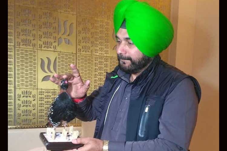 Navjot Singh Sidhu Navjot Singh Sidhu- India TV Hindi