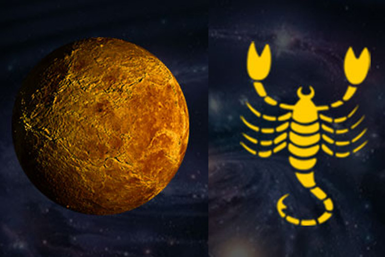 venus transit scorpio on 2 january 2019 venus transit scorpio on 2 january 2019- India TV Hindi