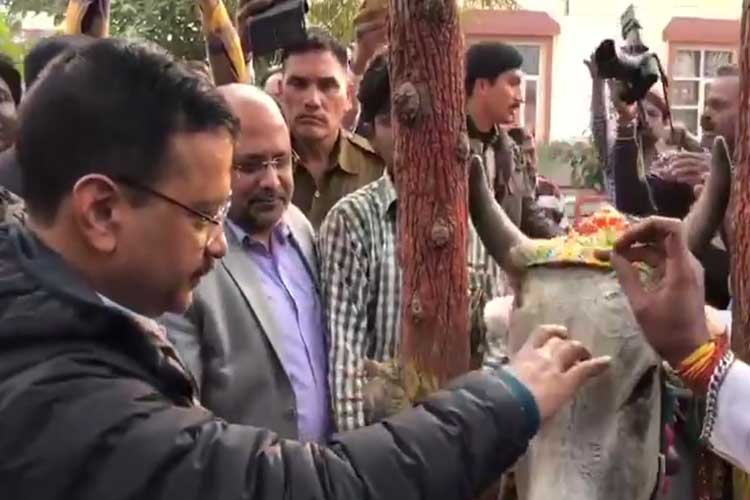 arvind kejriwal arvind kejriwal- India TV Hindi