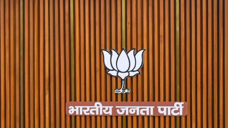 BJP's strength and weakness states in 2014 Lok Sabha Elections BJP's strength and weakness states in 2014 Lok Sabha Elections- India TV Hindi