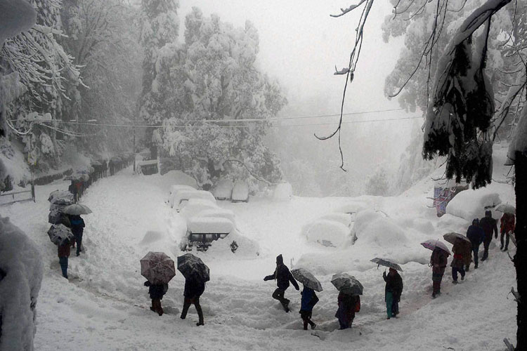 Cold wave continues in Kashmir, Dras freezes at minus 31.4 degree Celsius Cold wave continues in Kashmir, Dras freezes at minus 31.4 degree Celsius- India TV Hindi