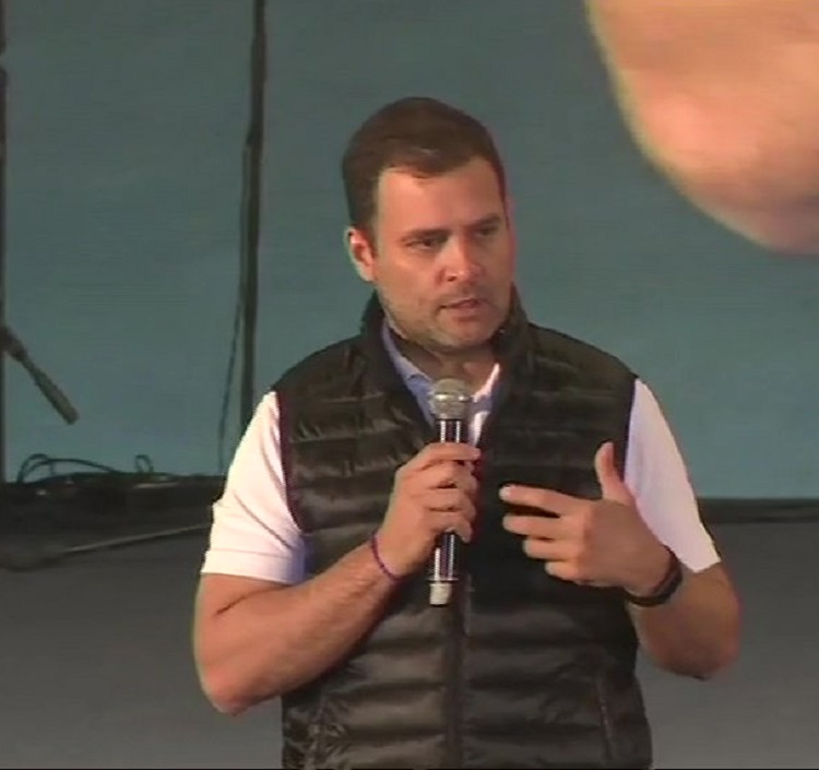 Congress president Rahul Gandhi Congress president Rahul Gandhi- India TV Hindi