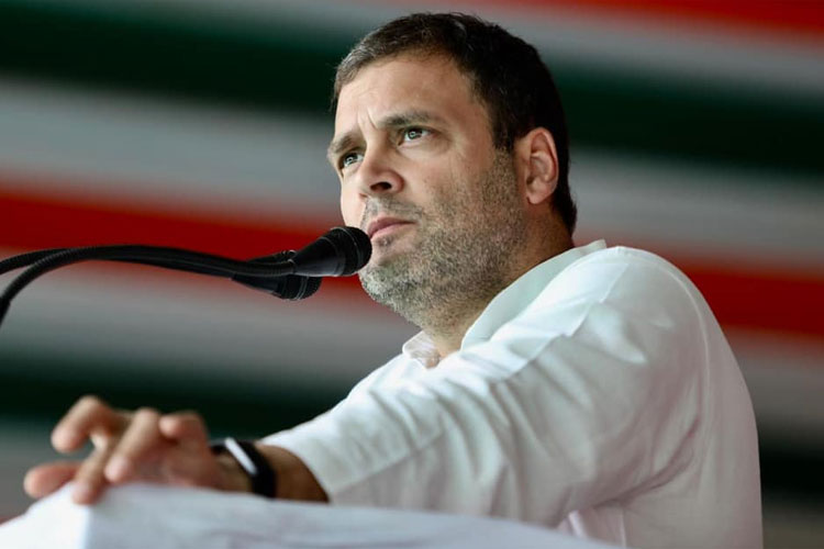 Rahul Gandhi Rahul Gandhi- India TV Hindi