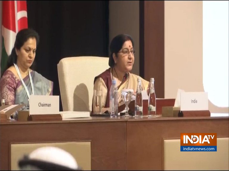 Sushma Swaraj at OIC Sushma Swaraj at OIC- India TV Hindi