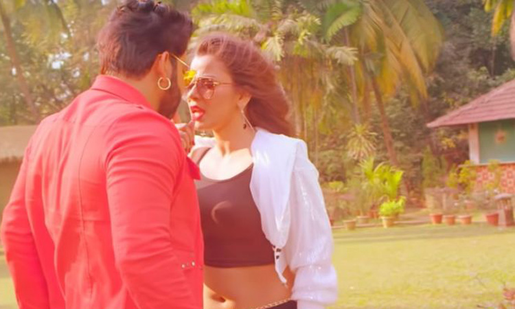 Latest Bhojpuri Cinema News Latest Bhojpuri Cinema News- India TV Hindi