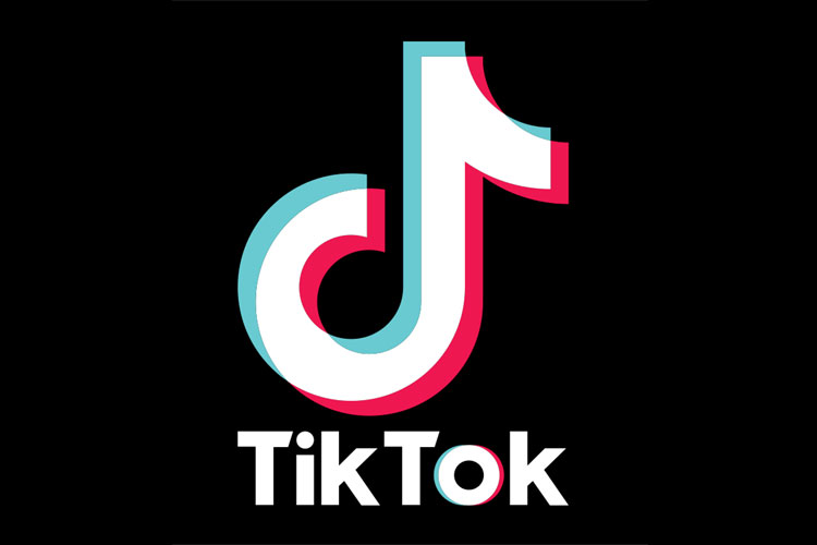 TikTok App blocked by Google after court order- India TV Hindi