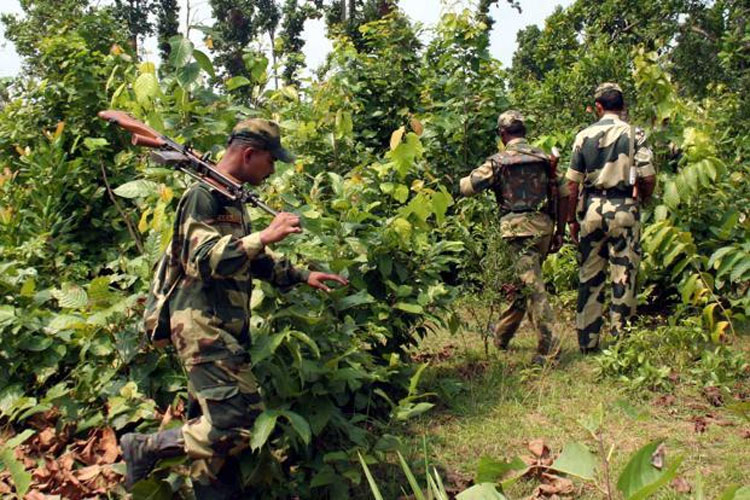 Maoist Maoist- India TV Hindi