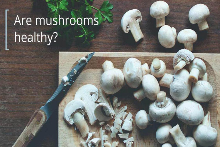 Mushroom Mushroom- India TV Hindi
