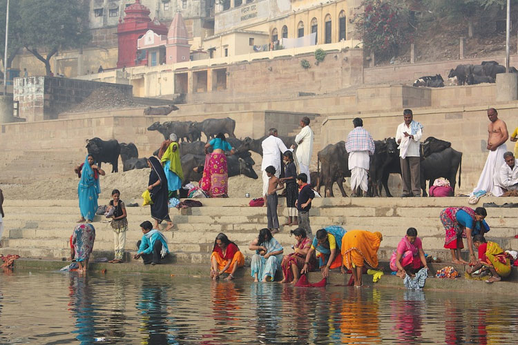 Ganga River water unfit for direct drinking and bathing, says CPCB | Pixabay Ganga River water unfit for direct drinking and bathing, says CPCB | Pixabay- India TV Hindi