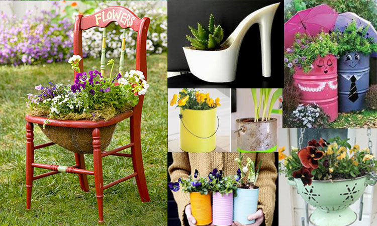 Home Garden Home Garden- India TV Hindi