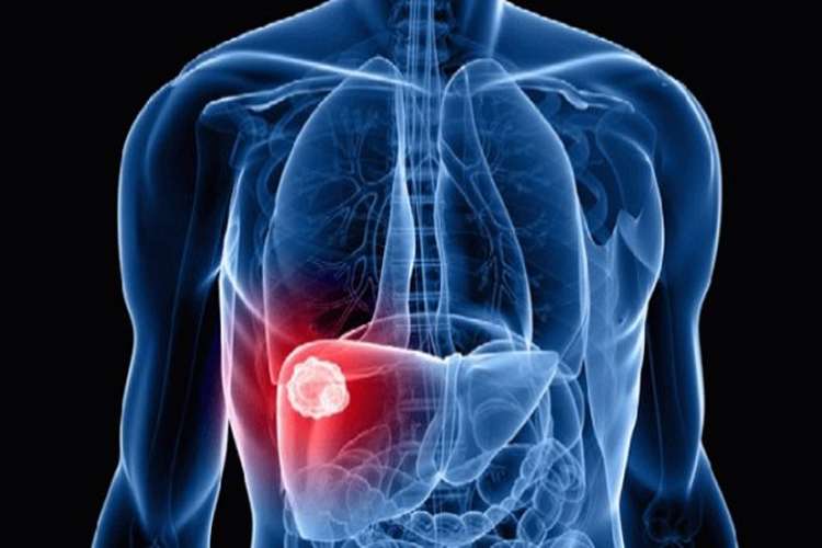 liver liver- India TV Hindi