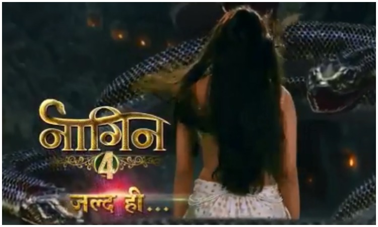 Naagin 4 Naagin 4- India TV Hindi