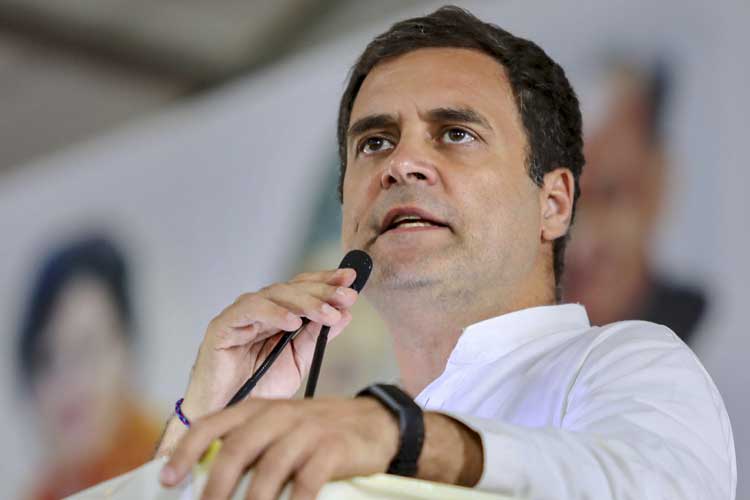 Rahul Gandhi Rahul Gandhi- India TV Hindi