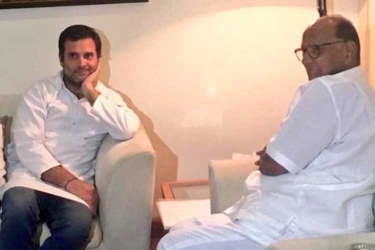 Rahul Gandhi and Sharad Pawar Rahul Gandhi and Sharad Pawar- India TV Hindi