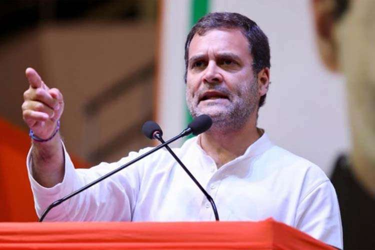 Rahul Gandhi File Photo Rahul Gandhi File Photo- India TV Hindi