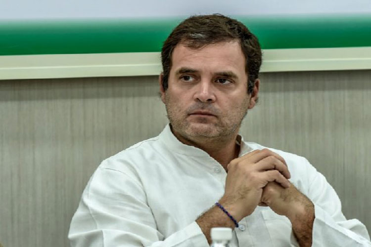 Rahul Gandhi Rahul Gandhi- India TV Hindi