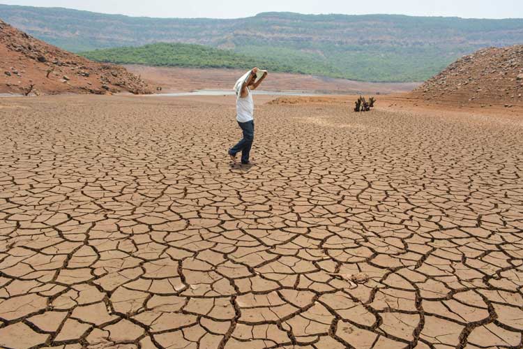 Delay in monsoon pushes rainfall deficiency to 45% in... Delay in monsoon pushes rainfall deficiency to 45% in...- India TV Hindi