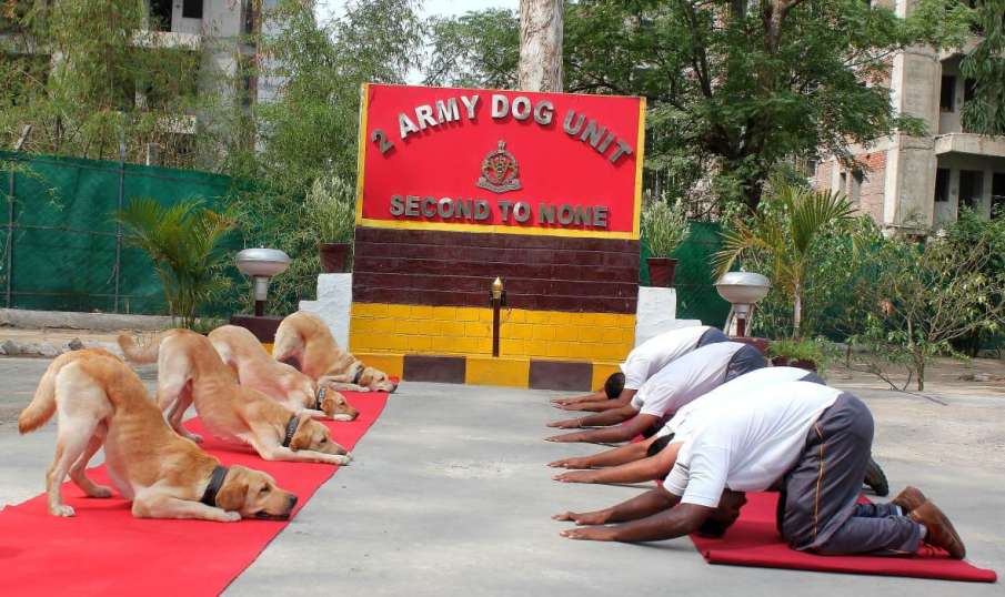 Yoga Day Yoga Day - India TV Hindi