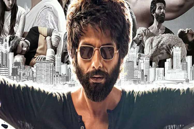 Kabir Singh Box Office Collection Kabir Singh Box Office Collection- India TV Hindi