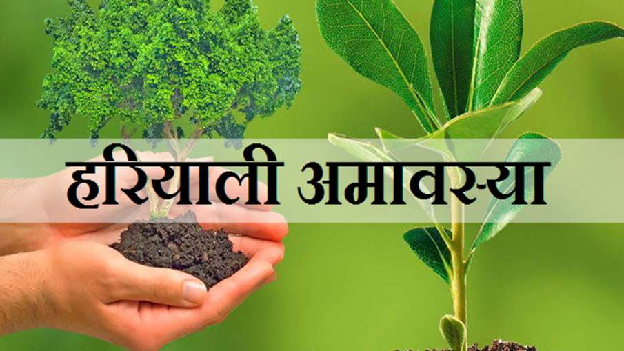 Hariyali Amavasya Hariyali Amavasya- India TV Hindi