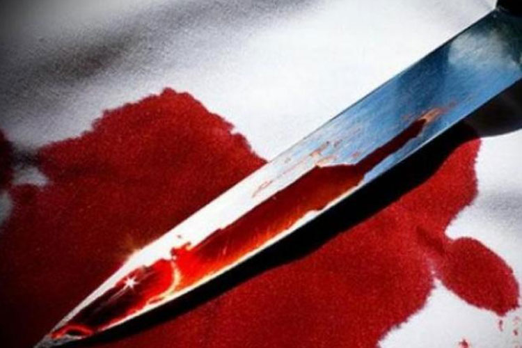Man kills mother in northwest Delhi, surrenders before police | PTI Representational Man kills mother in northwest Delhi, surrenders before police | PTI Representational - India TV Hindi