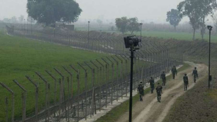 After 26 years again 'desert locusts' attack from Pakistan After 26 years again 'desert locusts' attack from Pakistan- India TV Hindi