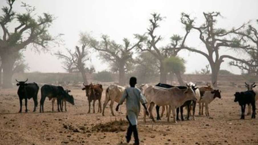 Clashes kill 3 civilians in Darfur of Sudan, says doctors | PTI Representational Clashes kill 3 civilians in Darfur of Sudan, says doctors | PTI Representational- India TV Hindi