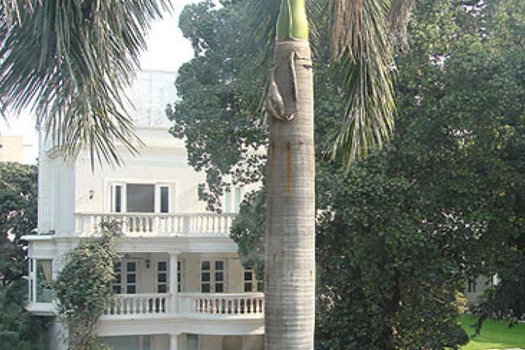 Representational pic Representational pic- India TV Hindi