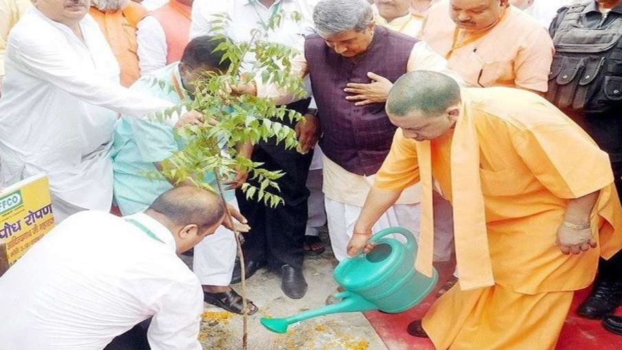 'Vriksharopan Mahakumbh' launched with target to plant 22 cr saplings in UP 'Vriksharopan Mahakumbh' launched with target to plant 22 cr saplings in UP- India TV Hindi