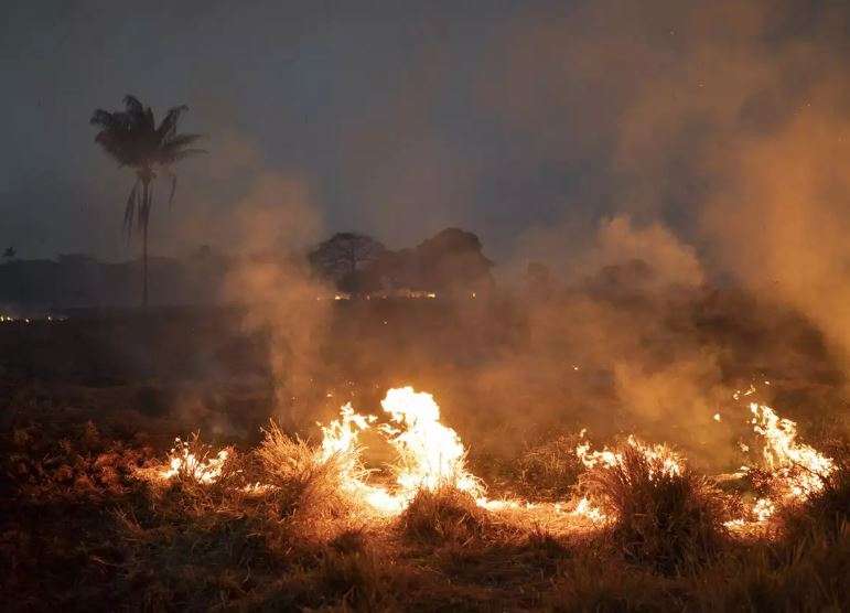 amazon forest fire amazon forest fire- India TV Hindi