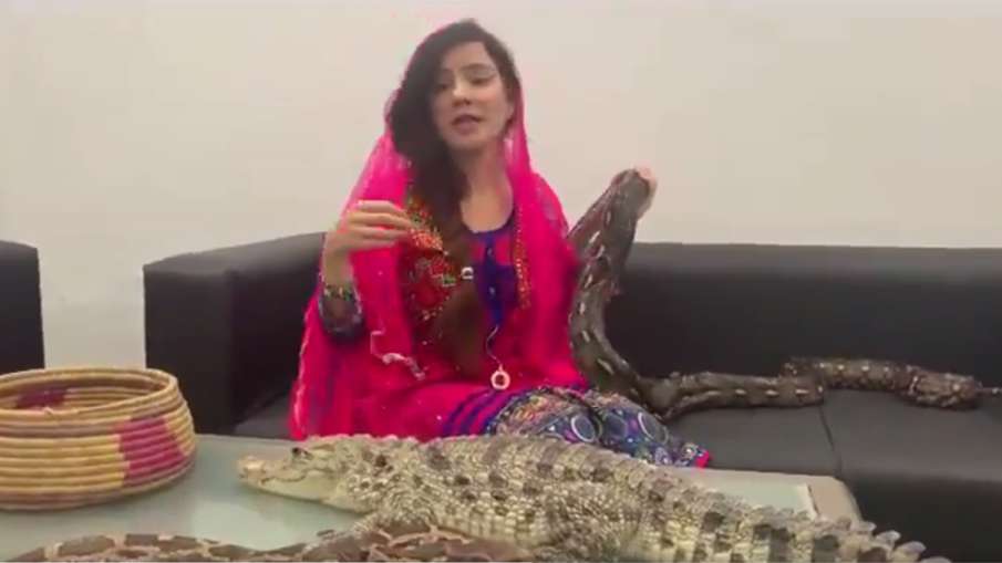 Pakistani Singer threatens PM Modi with snakes and crocodiles, fined Pakistani Singer threatens PM Modi with snakes and crocodiles, fined - India TV Hindi