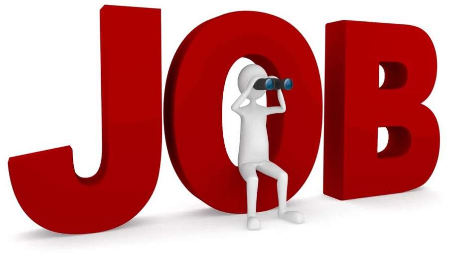 how to apply for job in du how to apply for job in du- India TV Hindi