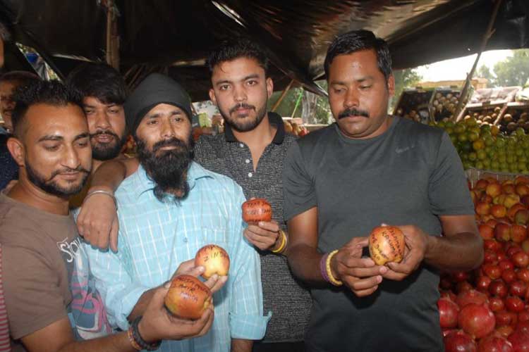 'Azadi', 'Burhan Wani' written on apples from Kashmir;... 'Azadi', 'Burhan Wani' written on apples from Kashmir;...- India TV Hindi
