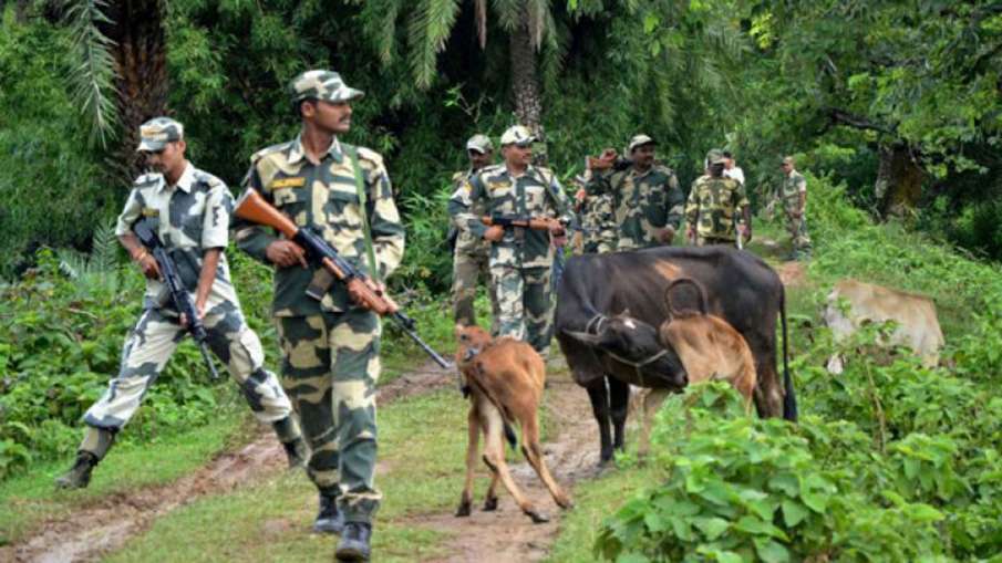 16 Bangladeshis held in BSF raids in West Bengal 16 Bangladeshis held in BSF raids in West Bengal- India TV Hindi