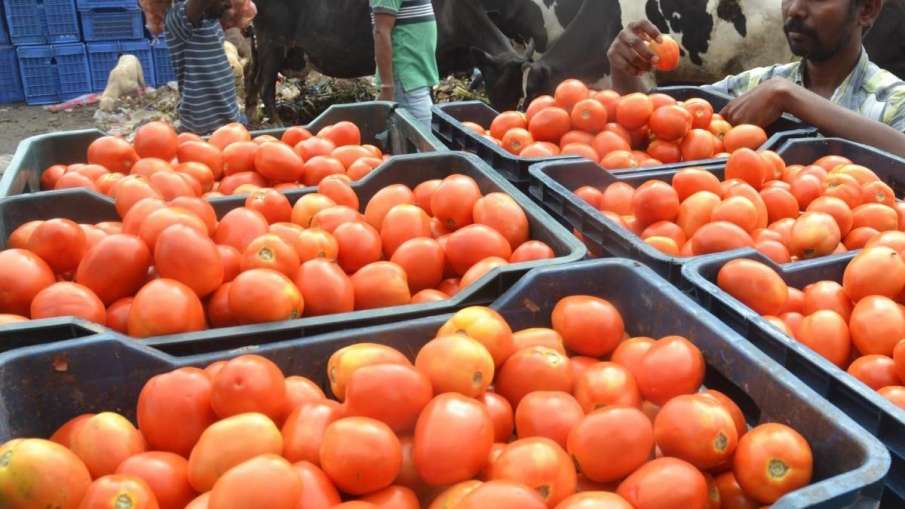 Tomato prices । Representative image- India TV Paisa